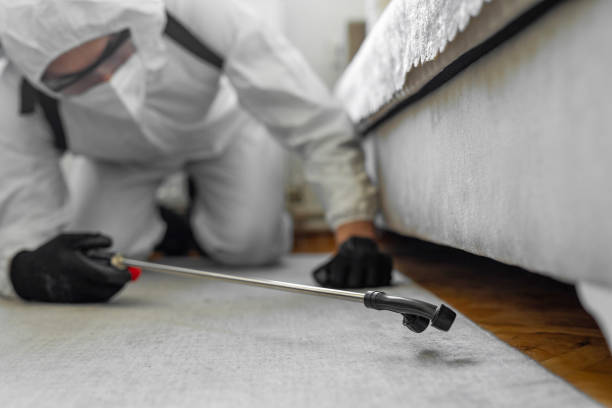 Professional Bed Bug Control technician working in Twin Rivers, NJ