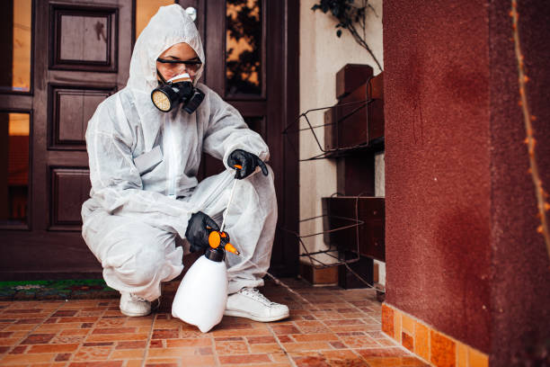 Reliable Bed Bug Control contractor in Twin Rivers, NJ by Nex Pest Control