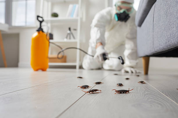 Trusted Rodent Control service in Twin Rivers, NJ - Nex Pest Control
