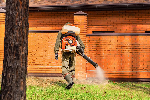 Trusted Emergency Pest Control service in Twin Rivers, NJ - Nex Pest Control